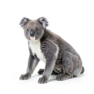 My Incredible World Nature Animal Picture Book for Kids 24 Page Print-0