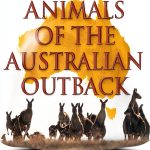 Baby Professor Australian Animals Kindle eBook for Kids Ages 3-7-0