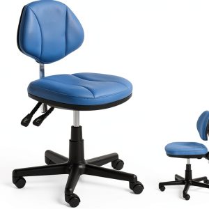 BoNew Dental Mobile Chair Dentist's Chair Doctor's Stool PU Leather HS-6 13 Colors-0